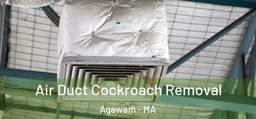  Air Duct Cockroach Removal Agawam - MA