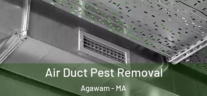  Air Duct Pest Removal Agawam - MA