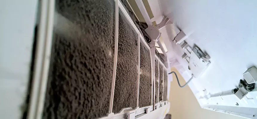 Preventive Air Duct Bacteria Removal in Agawam