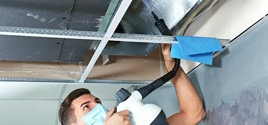 Our Air Duct Rodent Removal Services in Agawam, MA