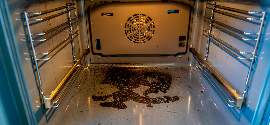 Our Dryer Vent Mold Cleaning Services in Agawam, MA