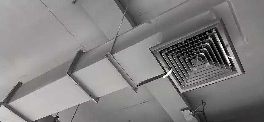 Our Rodent Droppings In Vents Services in Agawam, MA