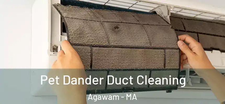  Pet Dander Duct Cleaning Agawam - MA