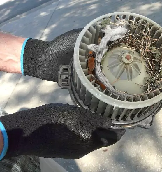 About Air Duct Mice Removal in Agawam, MA