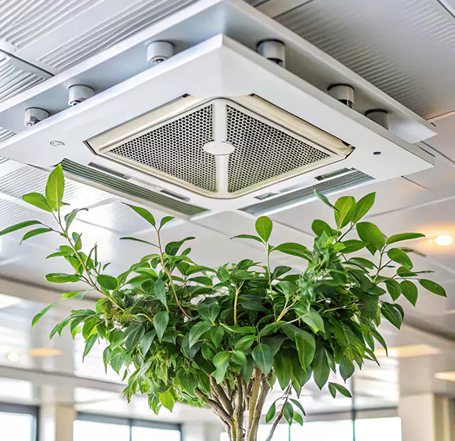 Why Homeowners & Businesses Trust Us in Agawam, MA?